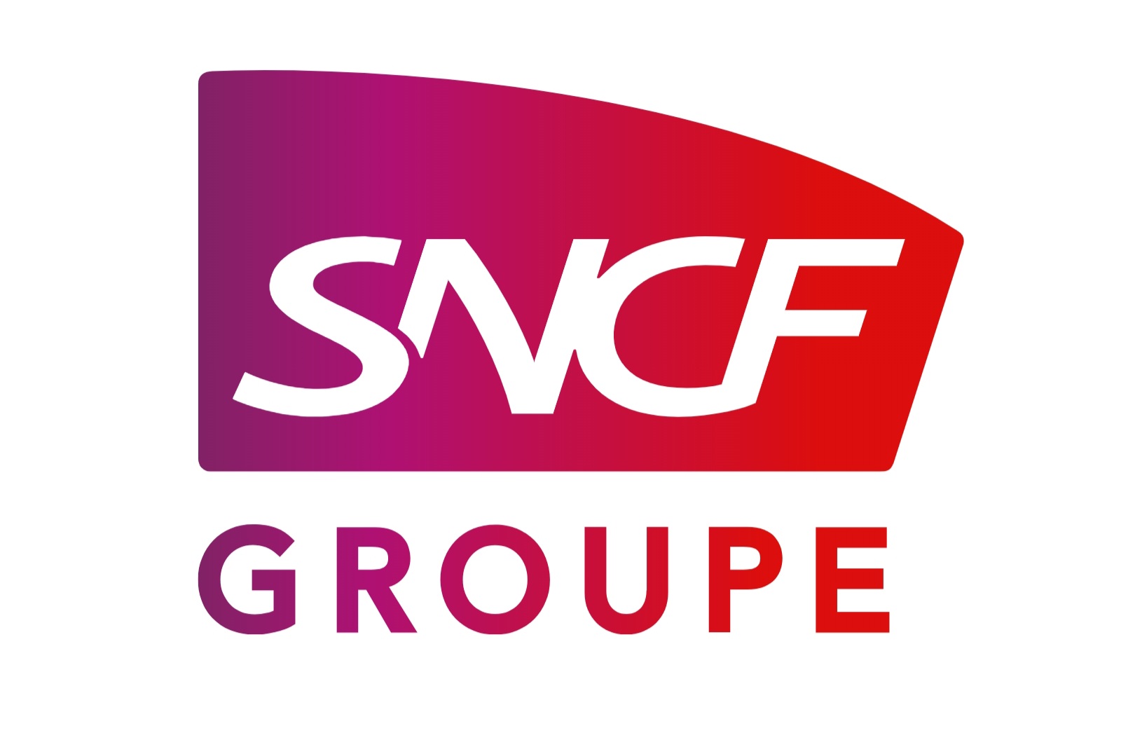 Logo snvf